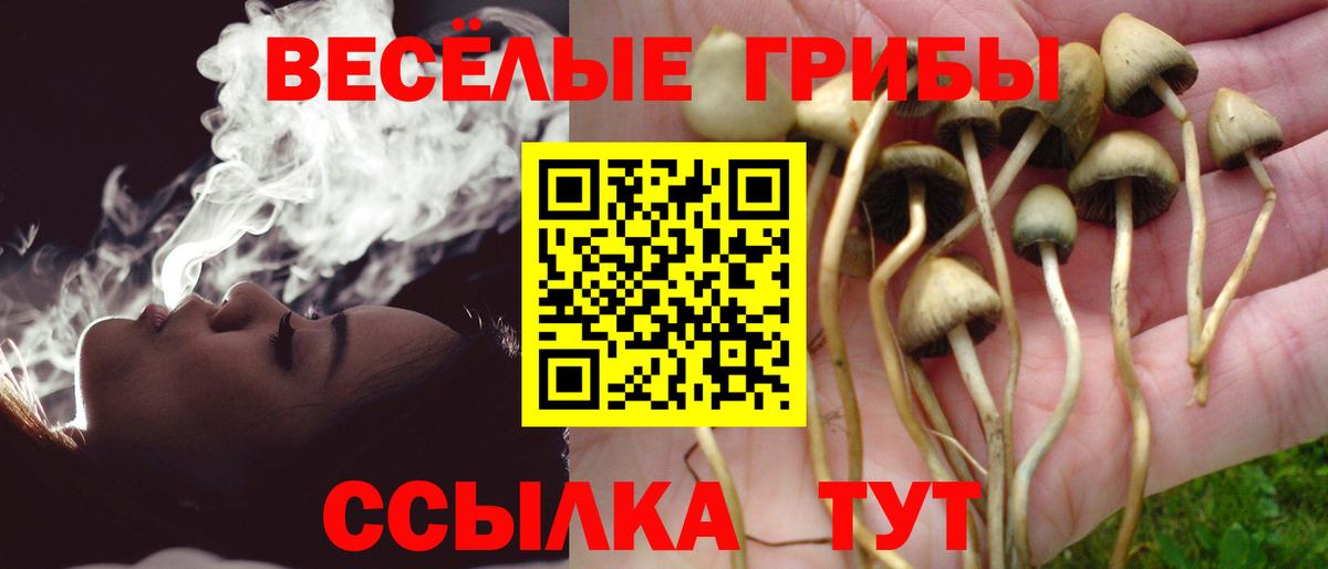 Галлюциногенные грибы MAGIC MUSHROOMS Знаменск